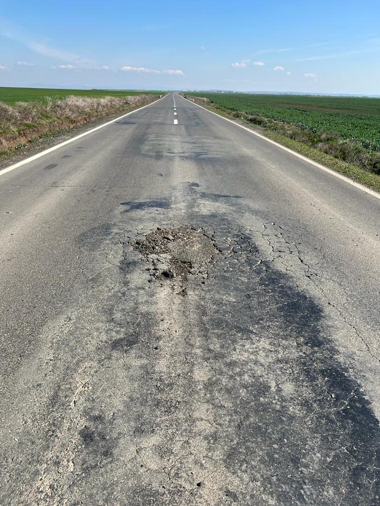 martie drum județean Seceani-Fibis (2)