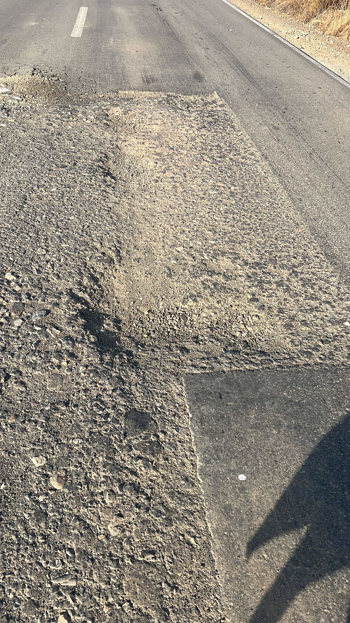 martie drum județean Seceani-Fibis (3)