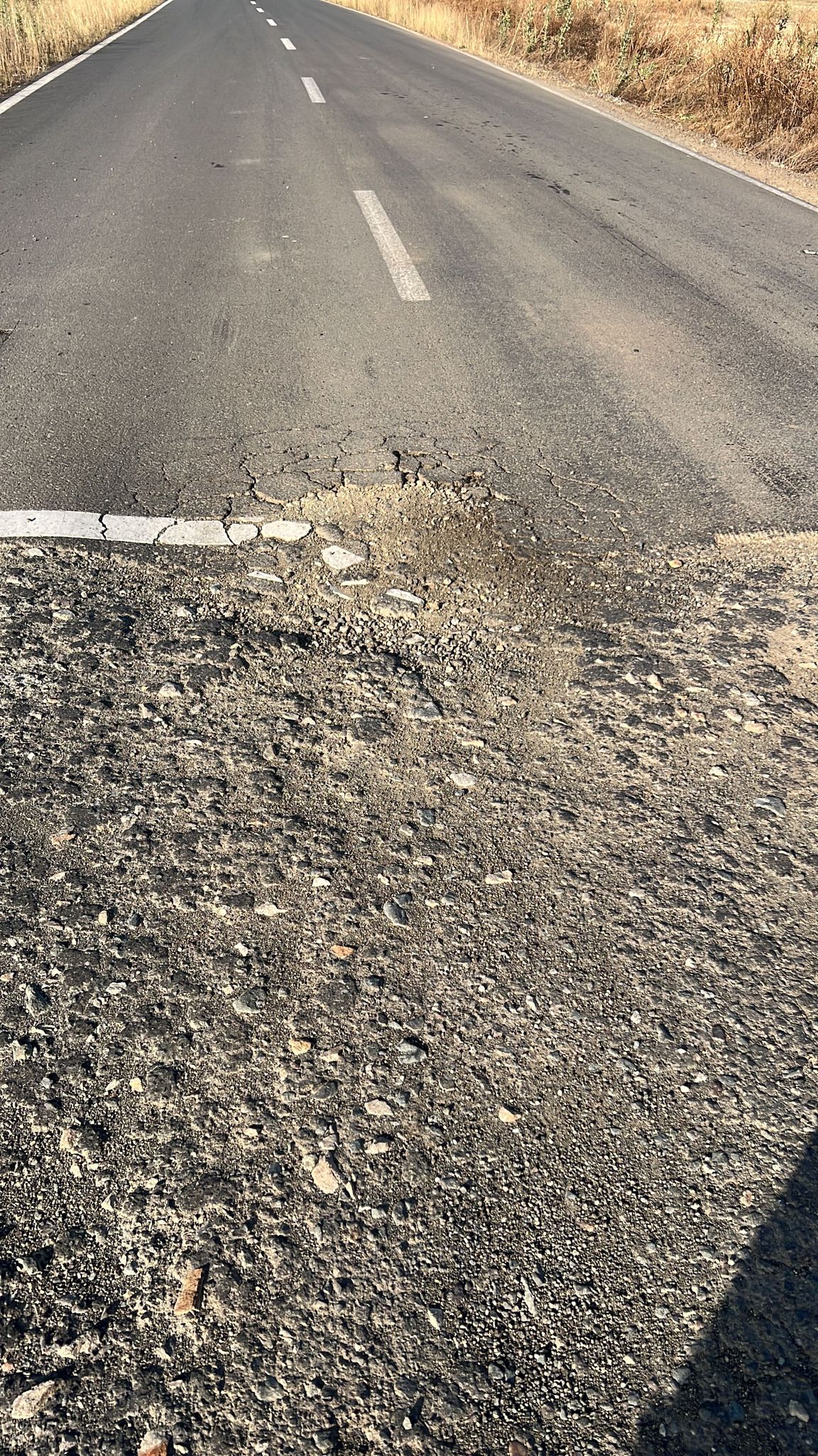 martie drum județean Seceani-Fibis (4)