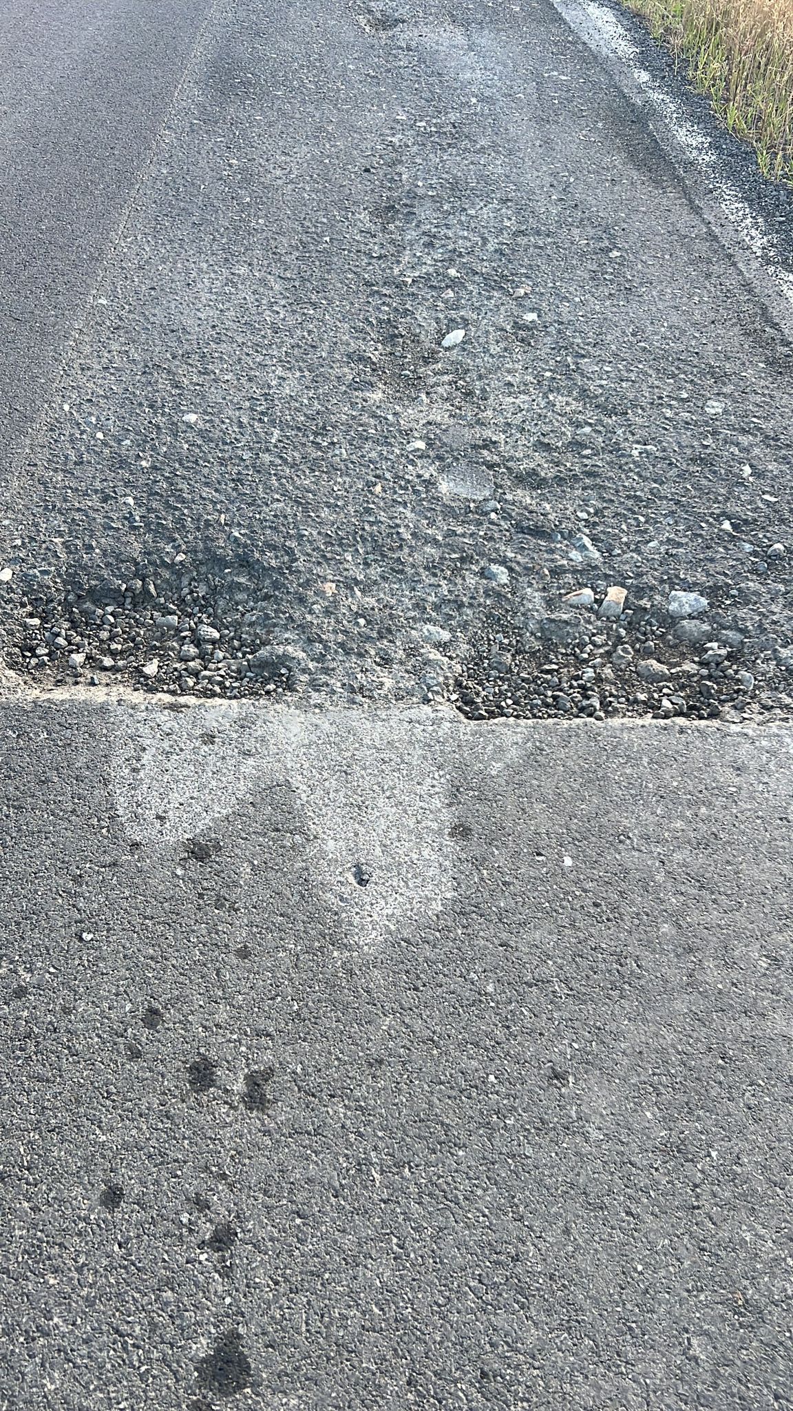 martie drum județean Seceani-Fibis (6)