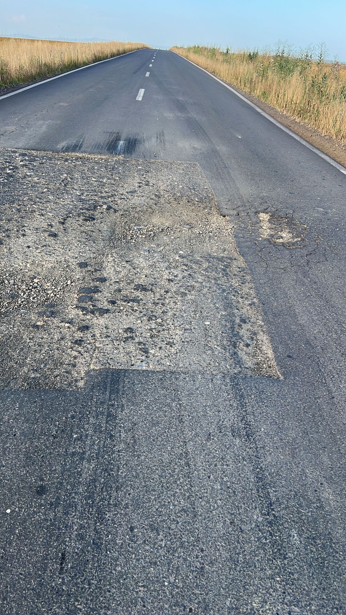 martie drum județean Seceani-Fibis (7)