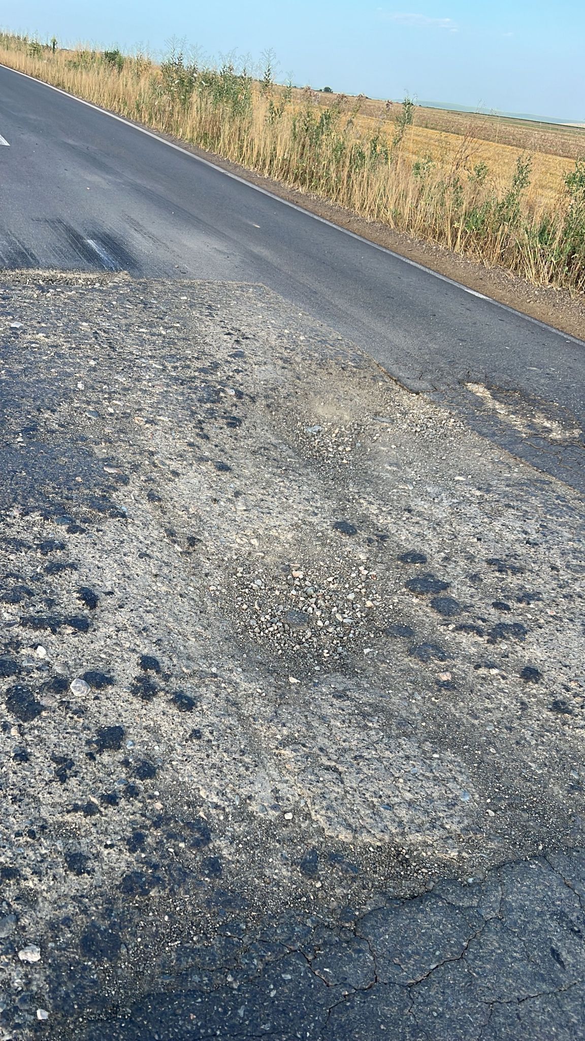 martie drum județean Seceani-Fibis (8)