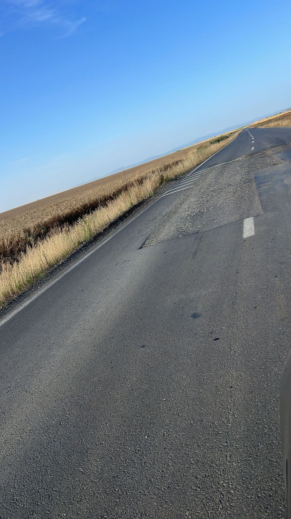 martie drum județean Seceani-Fibis (9)