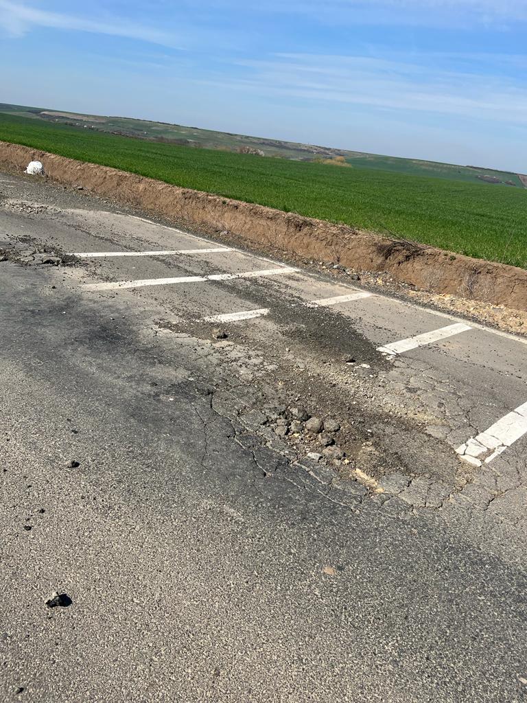 martie drum județean Seceani-Fibis (12)