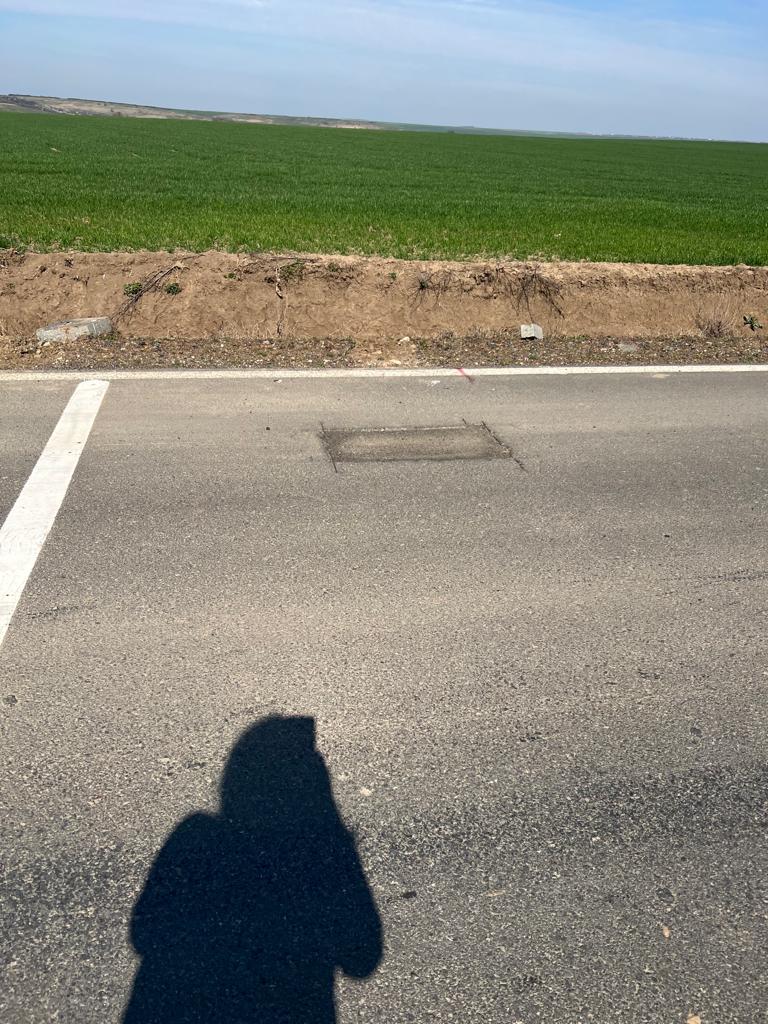 martie drum județean Seceani-Fibis (13)