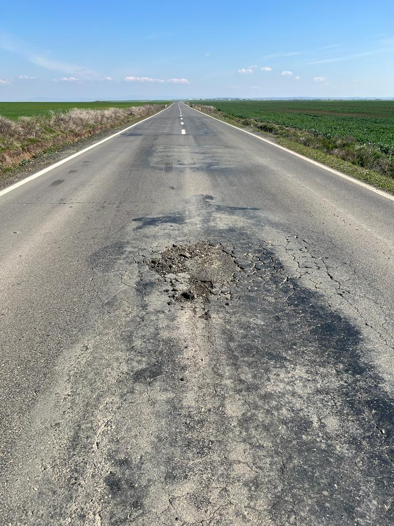 martie drum județean Seceani-Fibis (14)