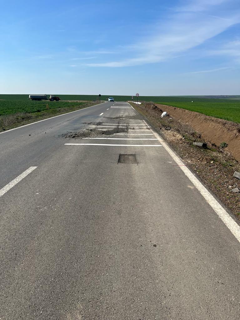 martie drum județean Seceani-Fibis (15)