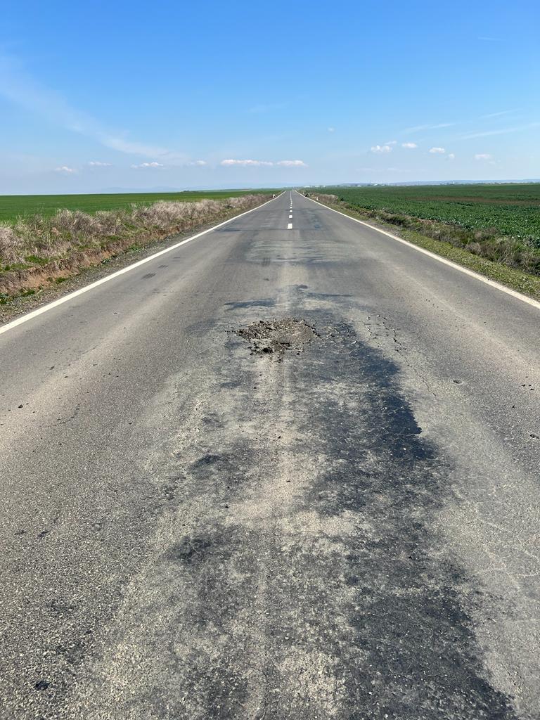 martie drum județean Seceani-Fibis (16)