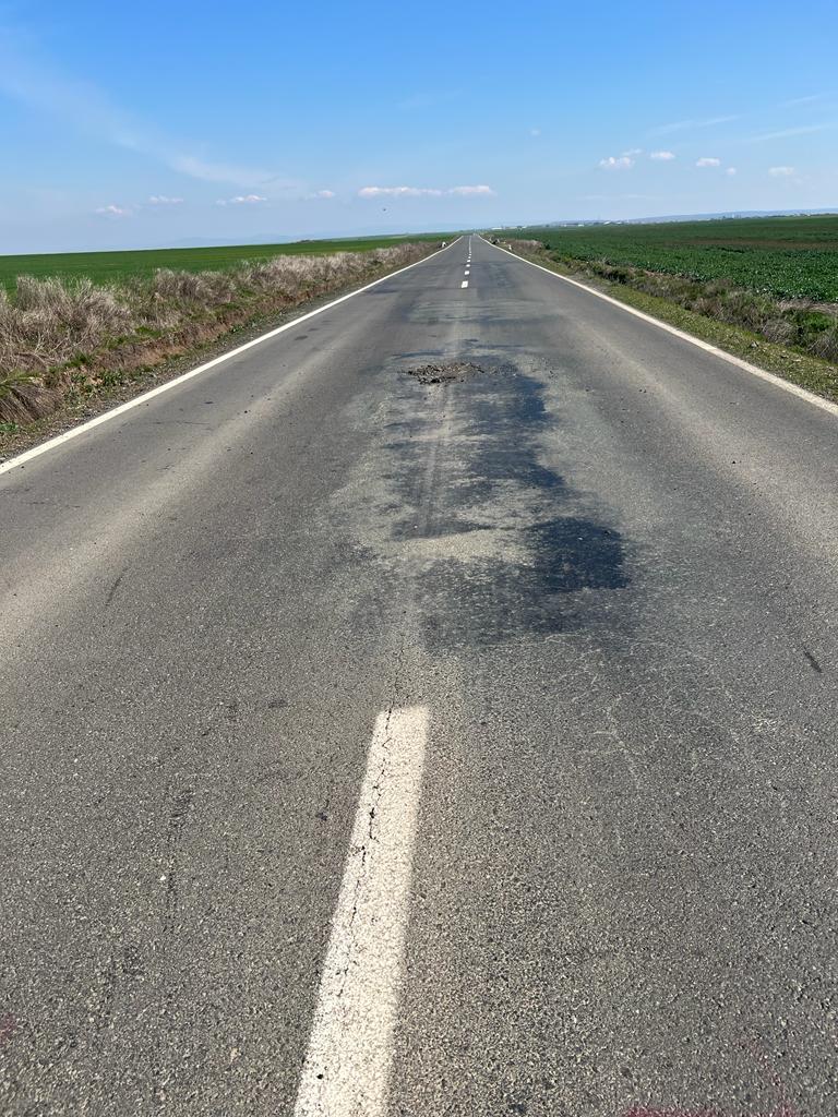 martie drum județean Seceani-Fibis (17)