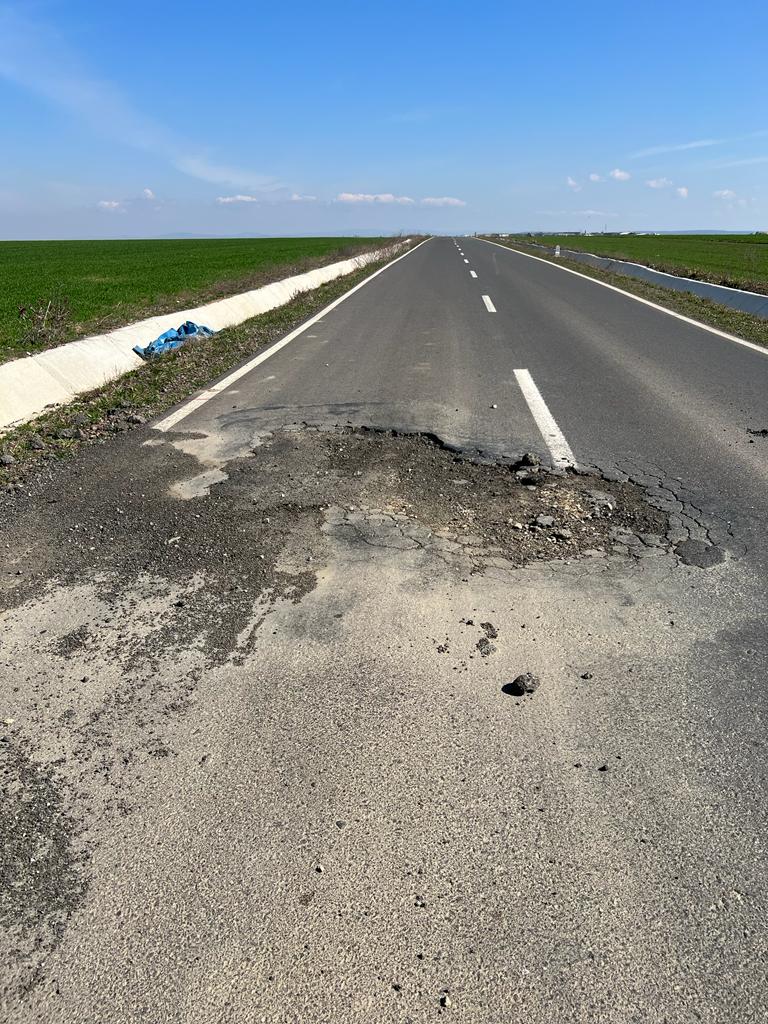 martie drum județean Seceani-Fibis (19)