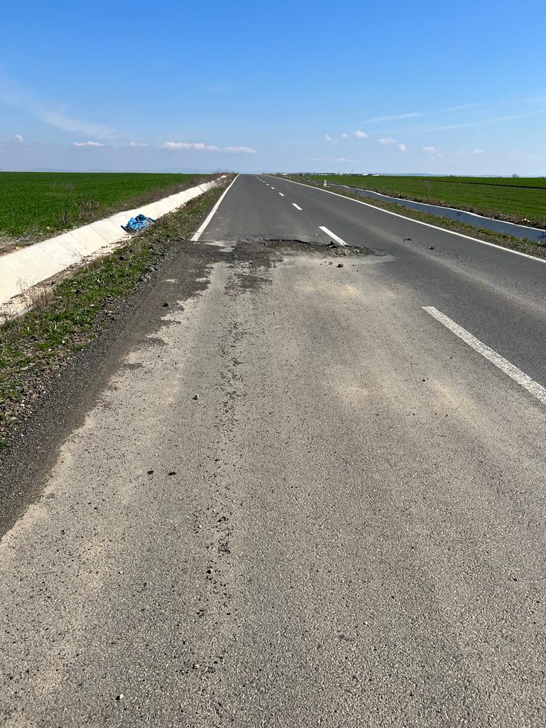 martie drum județean Seceani-Fibis (20)