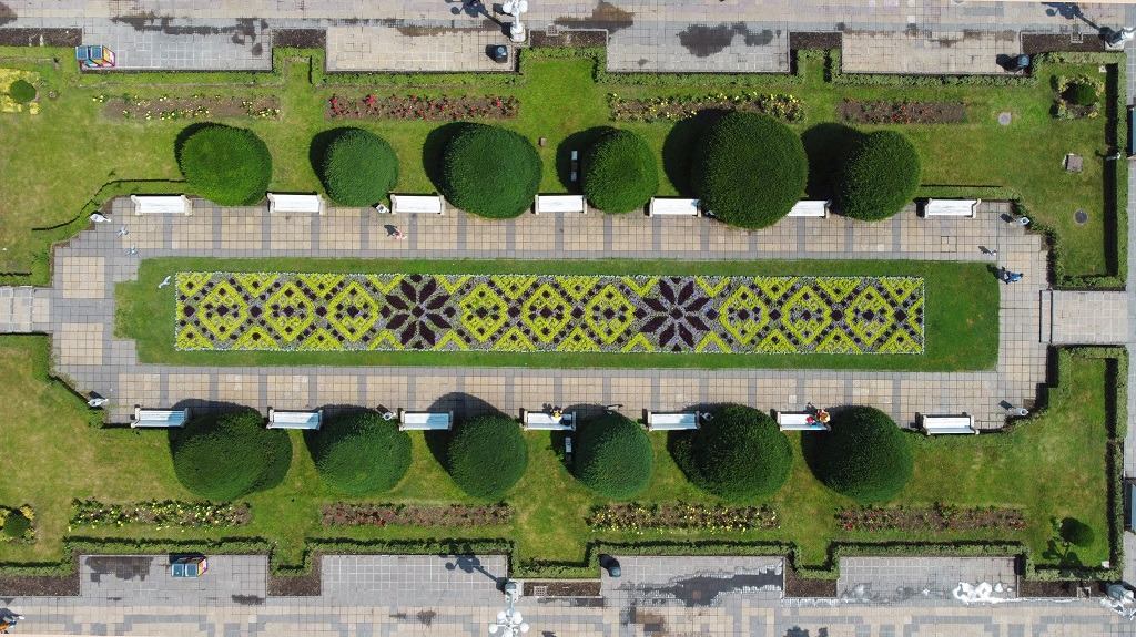 covoare florale horticultura flori timisoara (1)