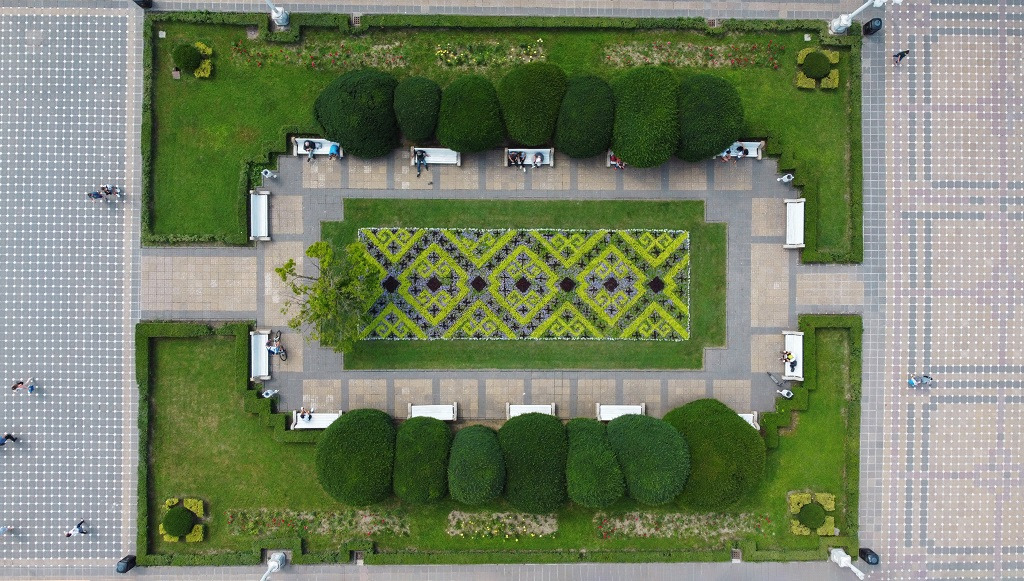 covoare florale horticultura flori timisoara (12)