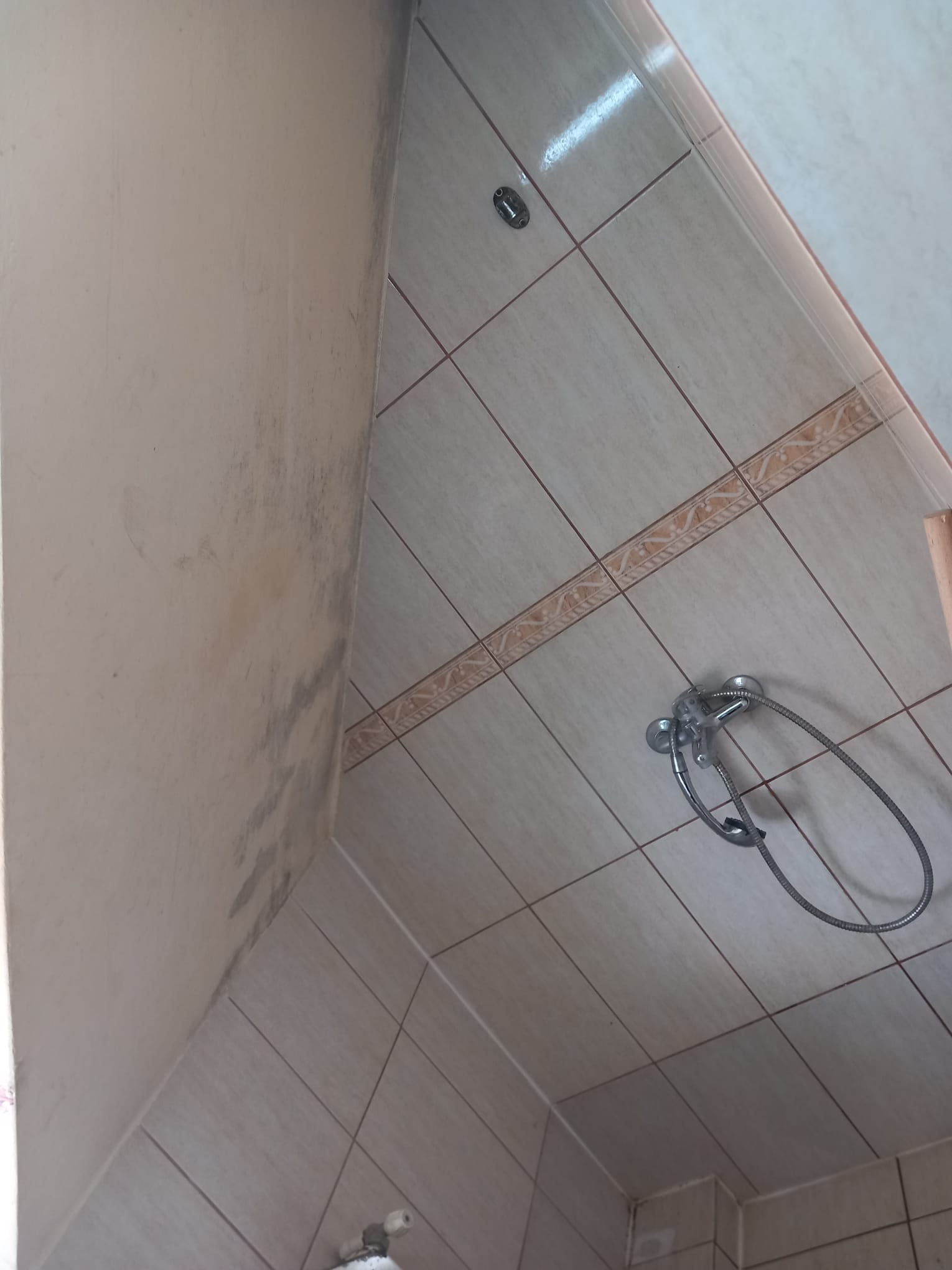 WhatsApp Image 2023-07-11 at 20.40.47