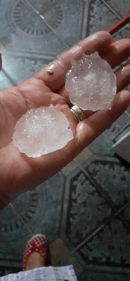 furtuna grindina timis (4)