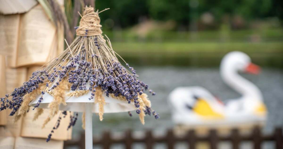 Produse proaspete și deserturi delicioase disponibile în piața Timișoara