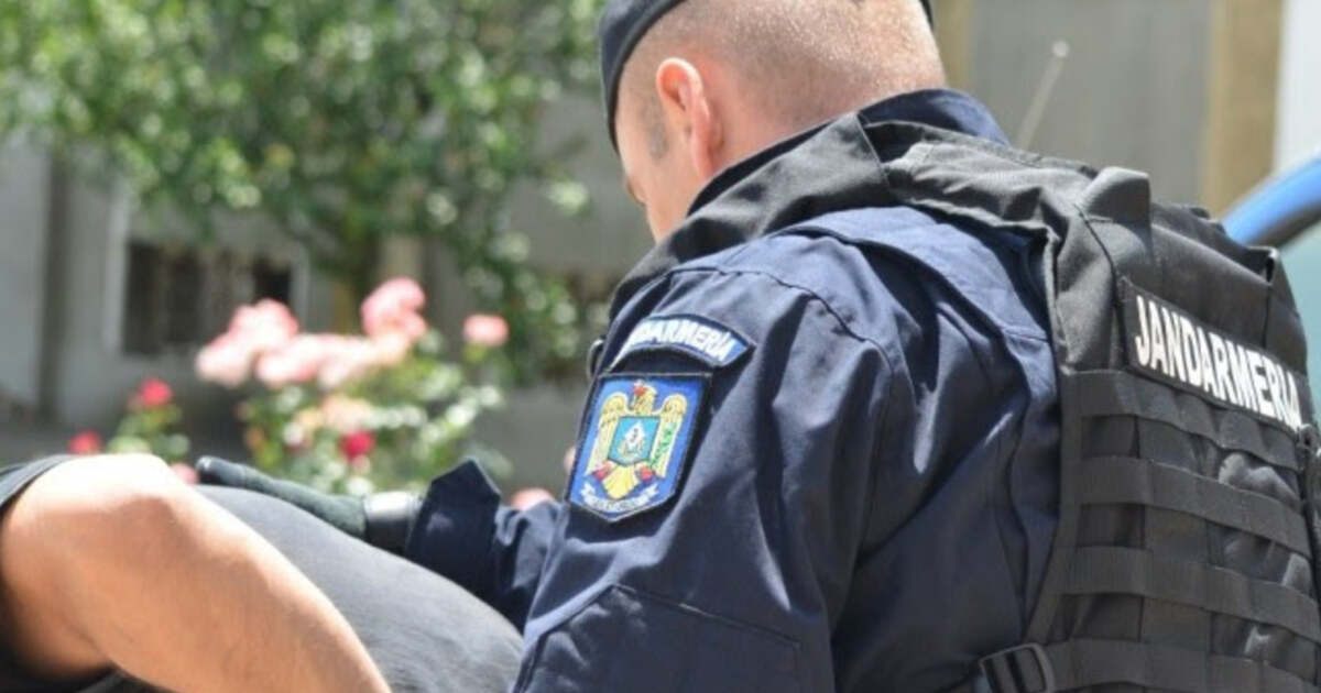 Sute de intervenții jandarmi pentru ordinea publică în Timiș în februarie