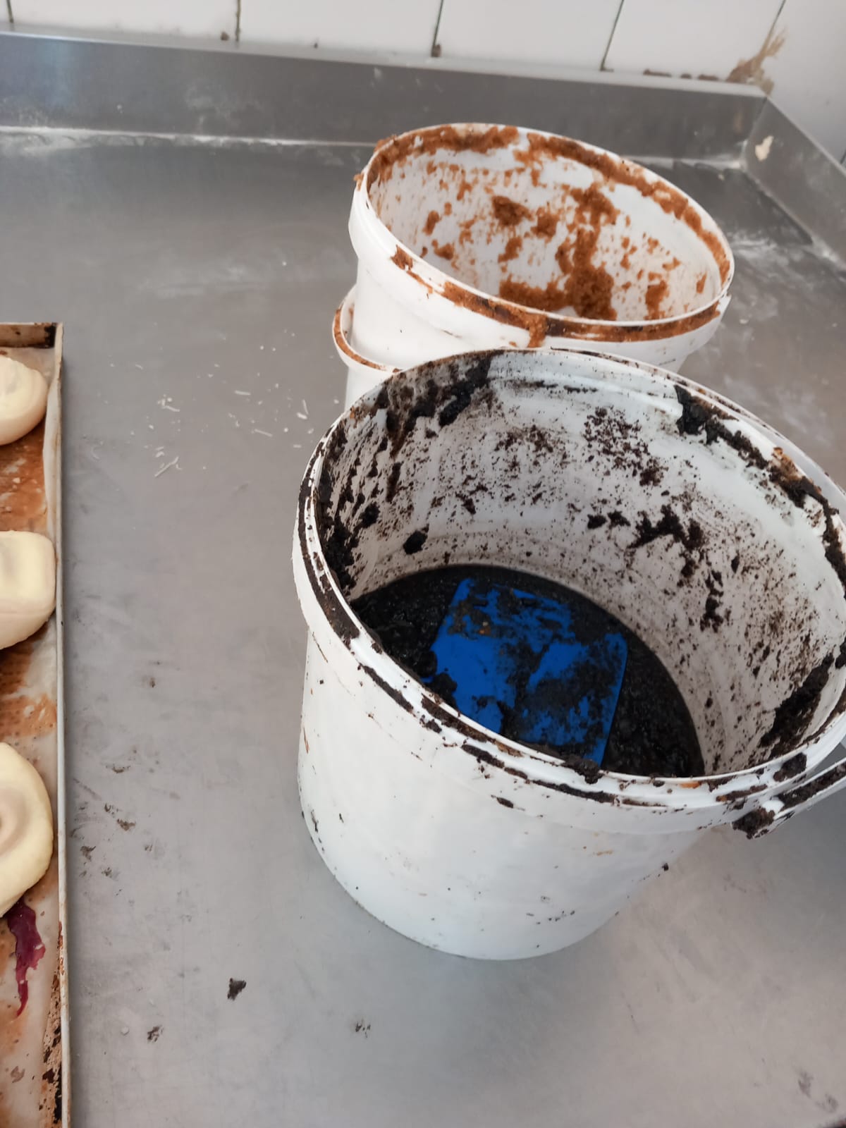 control anpc baile herculane mizerie mancare stricata (1)