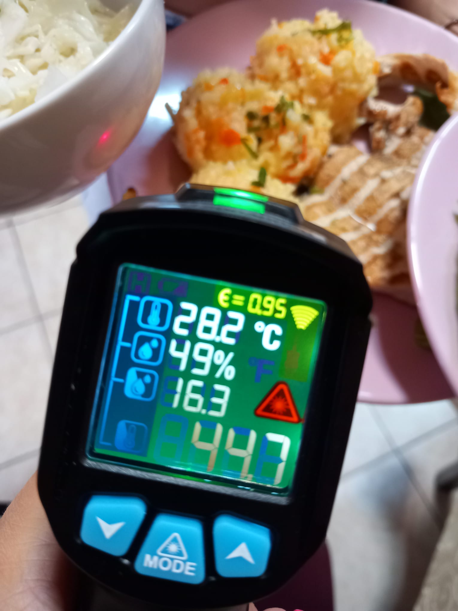 control anpc baile herculane mizerie mancare stricata (51)