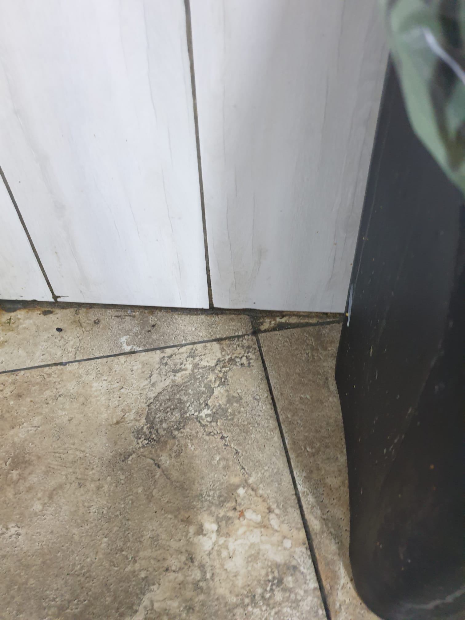 control anpc baile herculane mizerie mancare stricata (82)