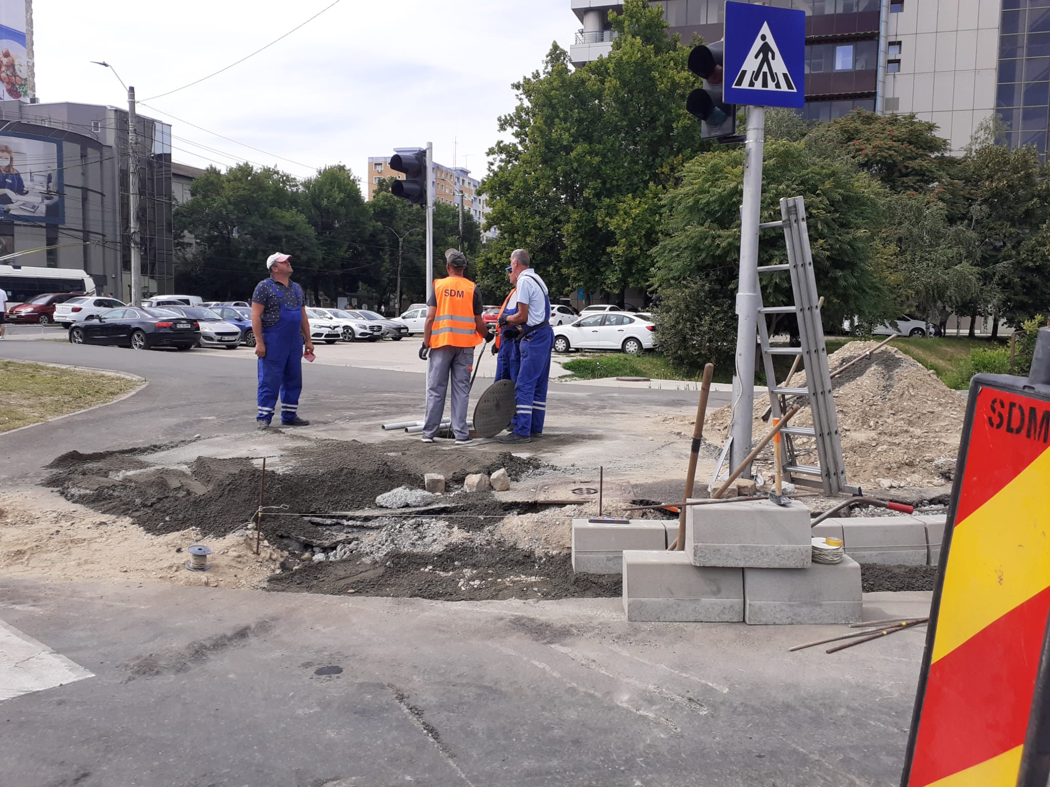 sdm lucrari consiliul europei trafic (6)