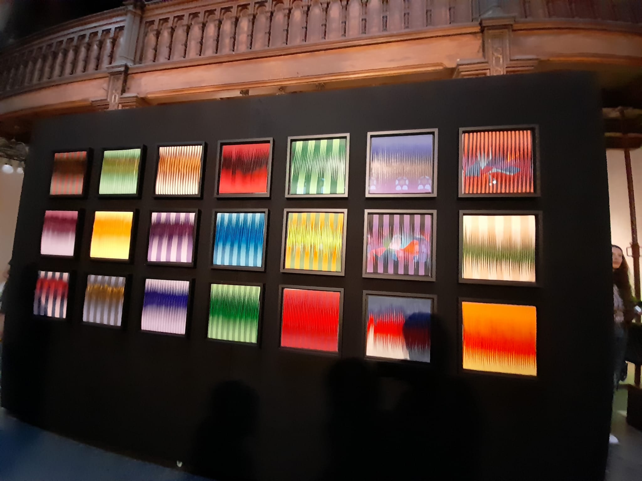 expozitie Veronica Taussig (12)