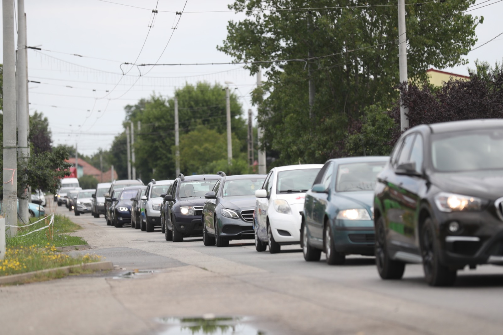 WhatsApp Image 2023-08-17 at 13.19.47