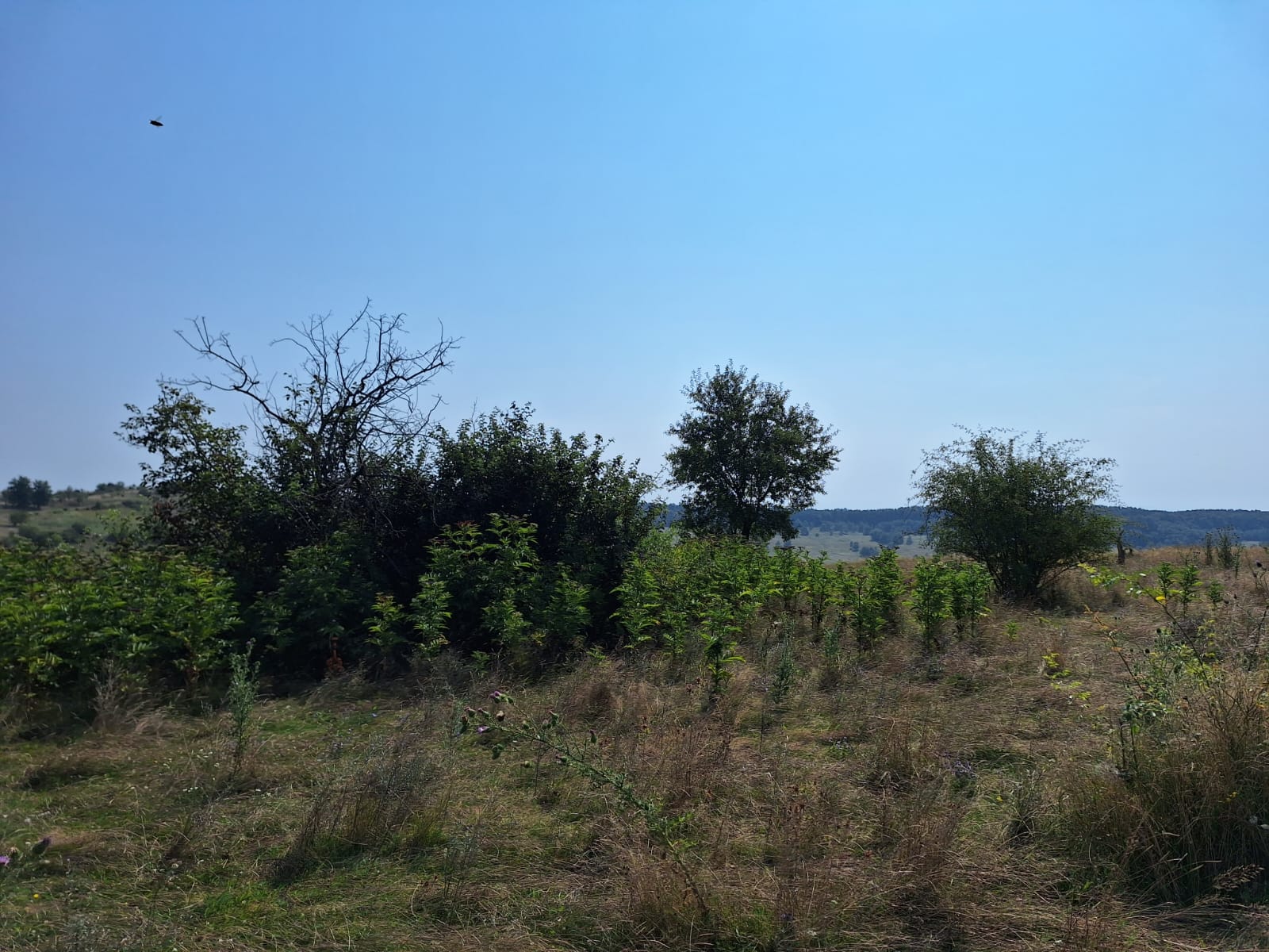 WhatsApp Image 2023-08-20 at 11.35.10