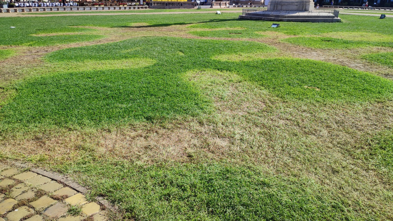 WhatsApp Image 2023-09-12 at 13.49.08