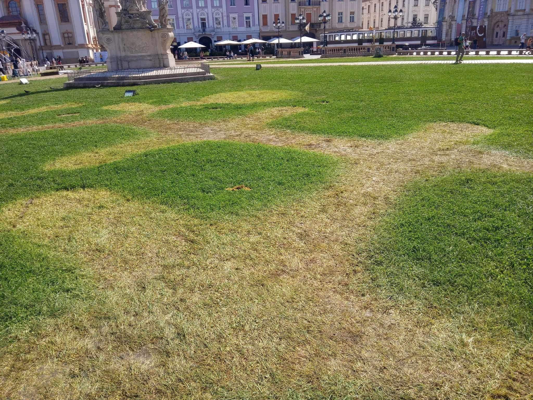 WhatsApp Image 2023-09-11 at 18.54.41 (1)