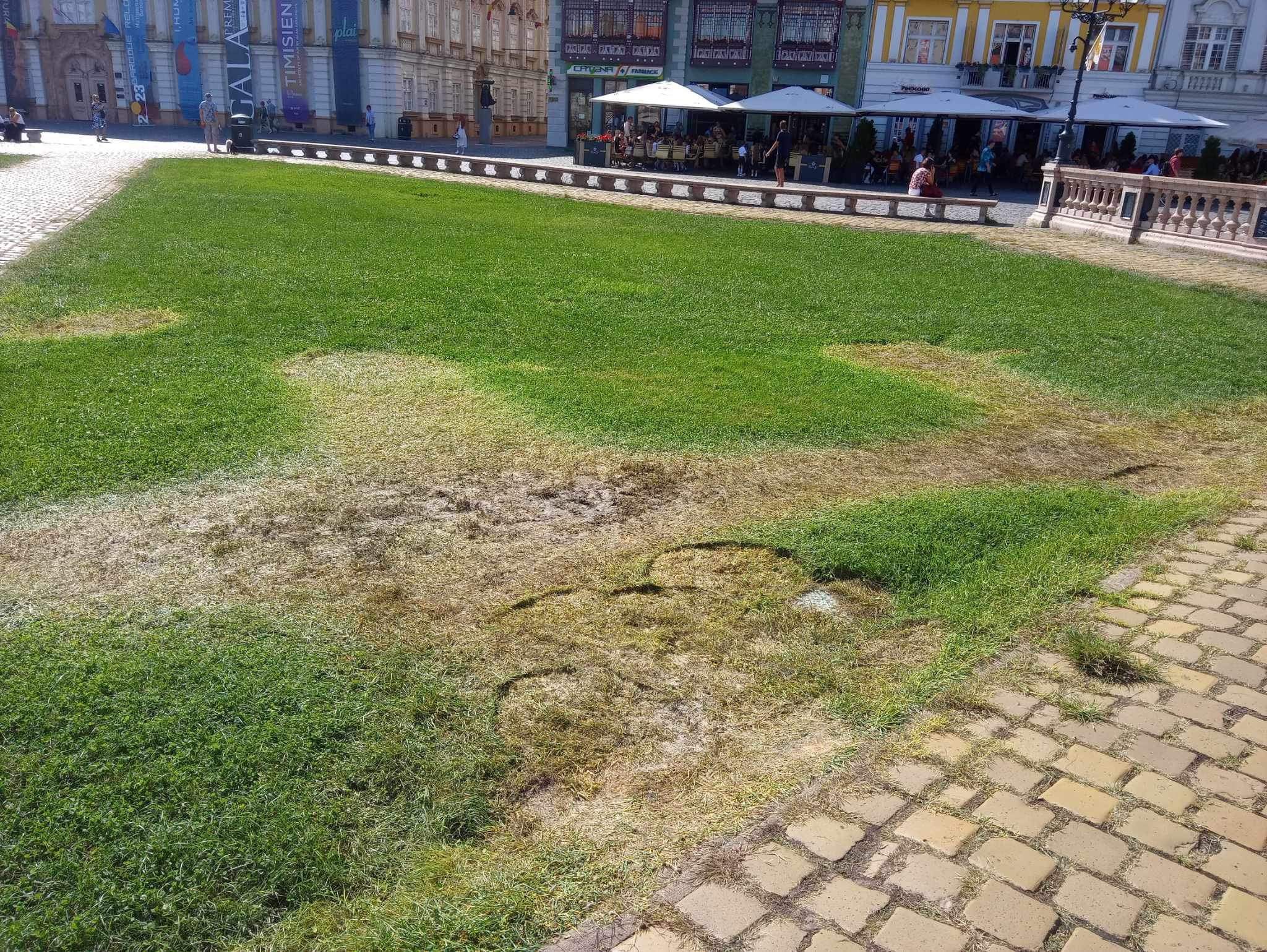 WhatsApp Image 2023-09-11 at 18.54.41