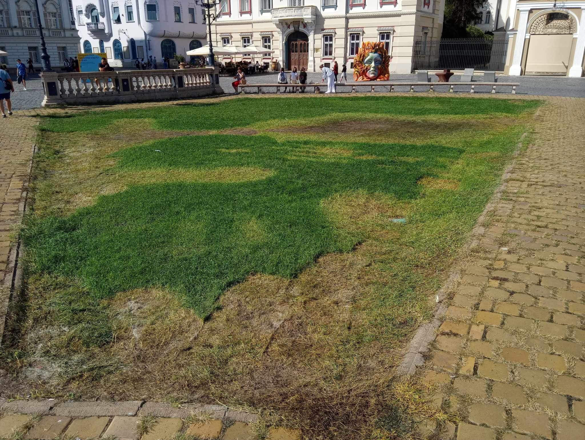 WhatsApp Image 2023-09-11 at 18.54.40