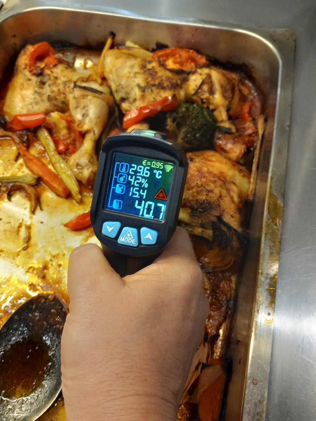 control opc complex mizerie mancare stricata (79)