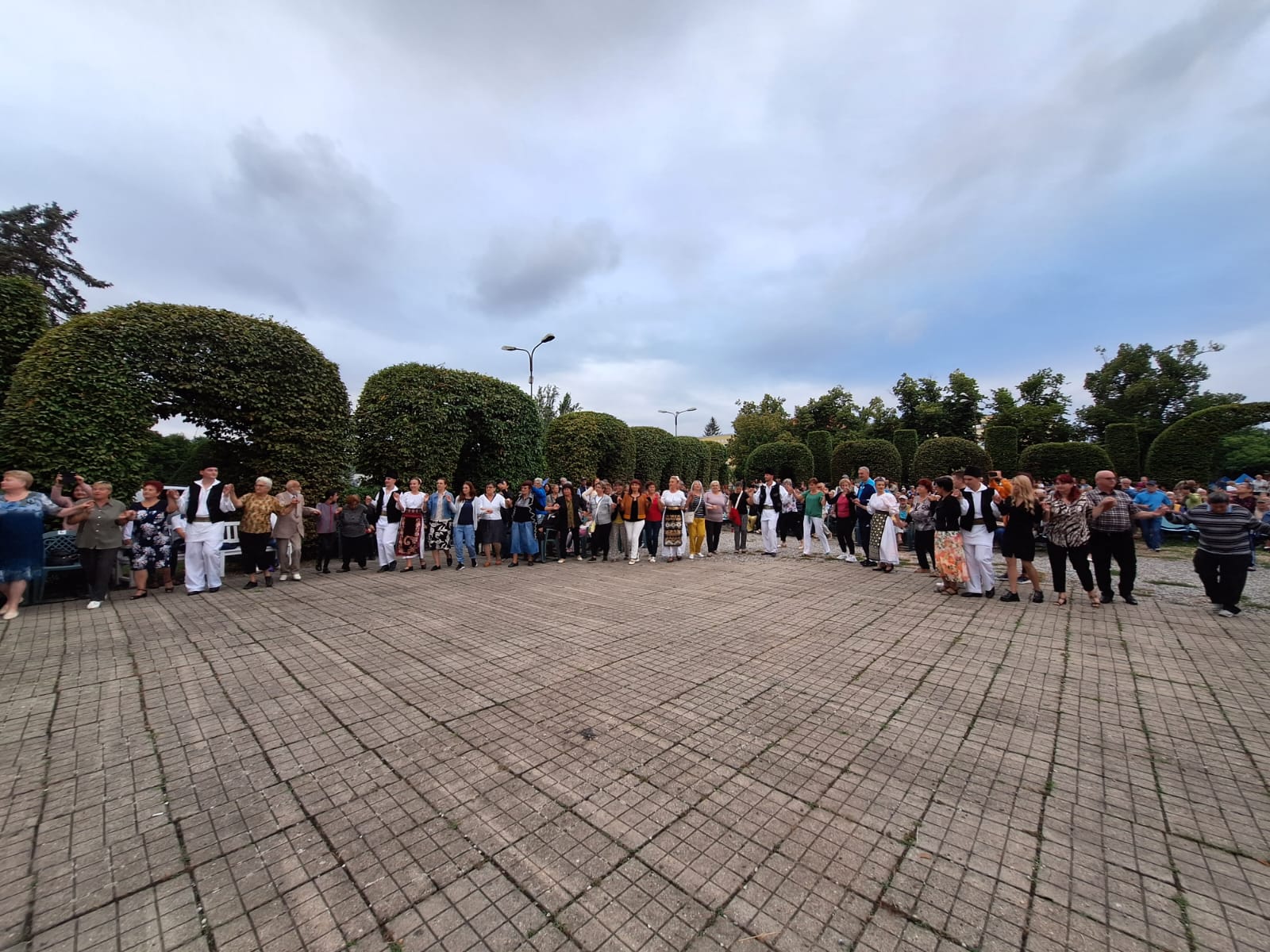 ruga timisoarei 2023 (7)