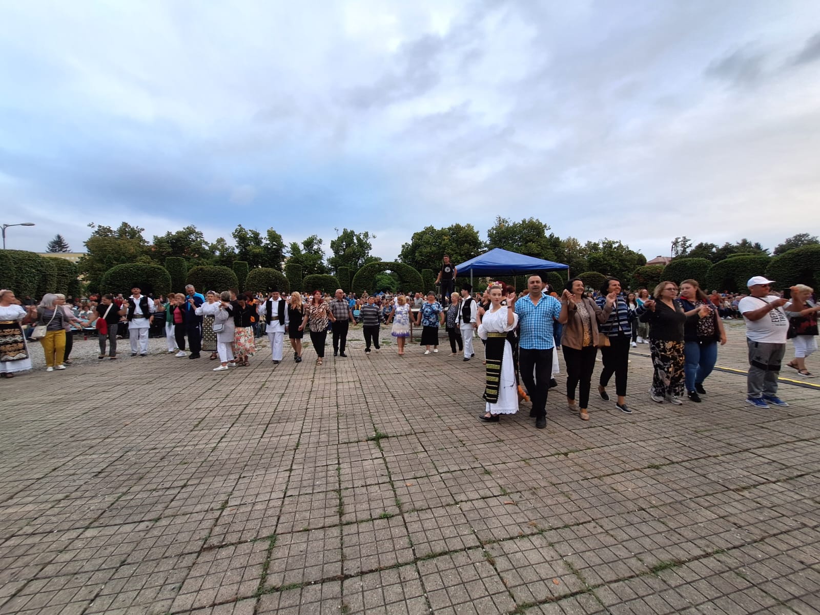 ruga timisoarei 2023 (12)