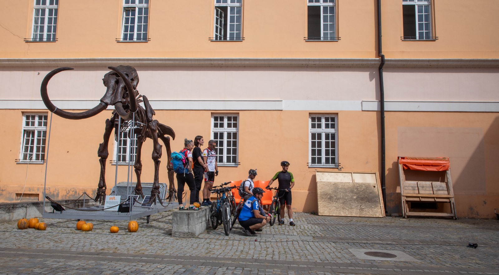 Festivalul Dovleacului de la Kikinda 2023 (39)