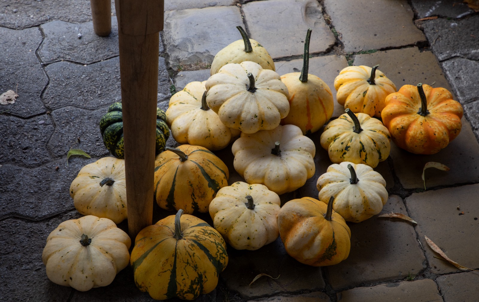 Festivalul Dovleacului de la Kikinda 2023 (48)