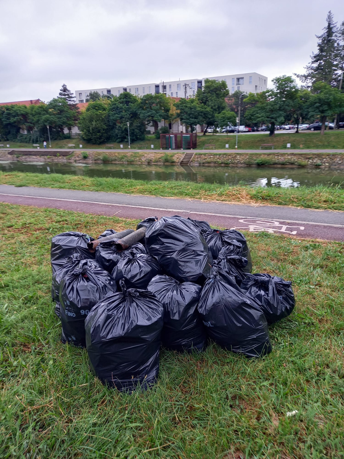 Let’s do it Timiș