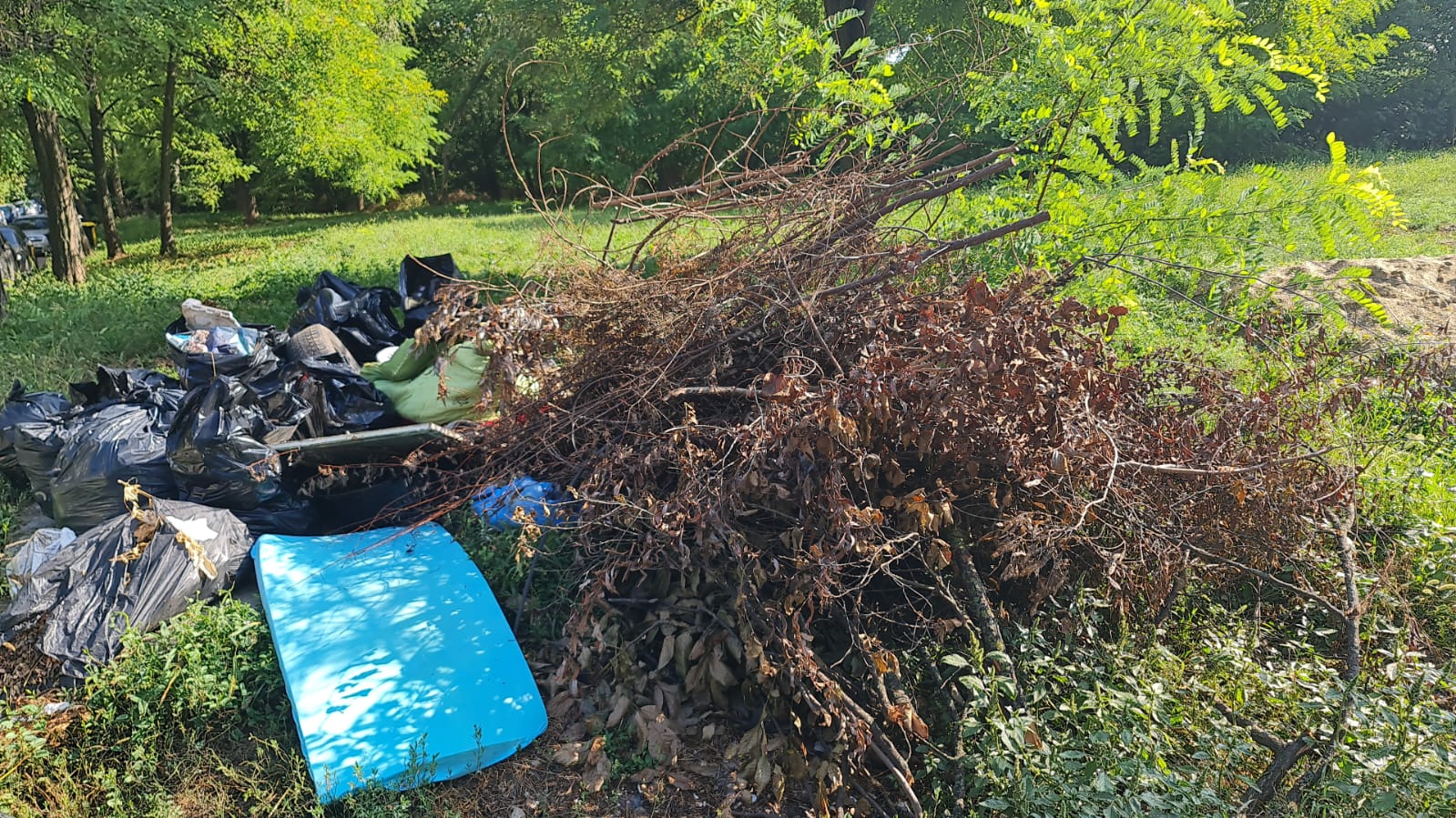 0b619246-530f-4d6b-adc2-f58c778438ba