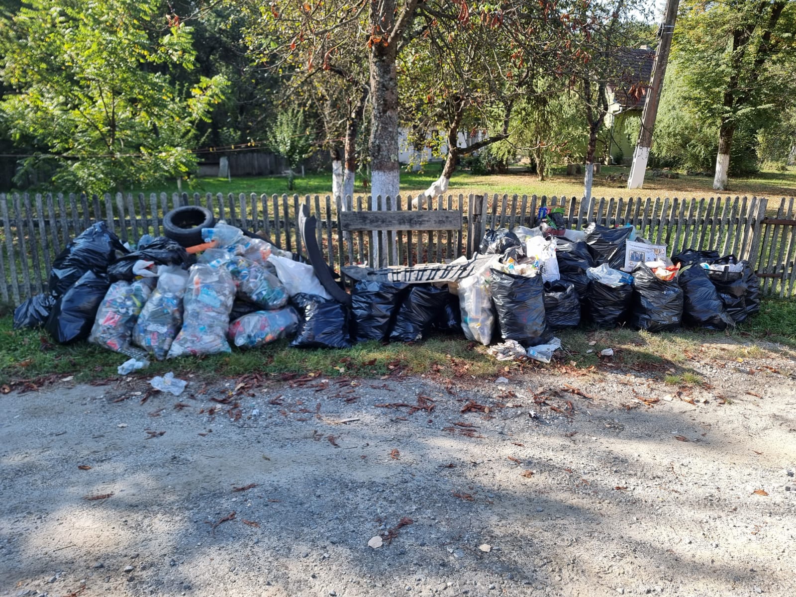 7c33ec0f-d463-404a-9acf-dbcb8c6743e6