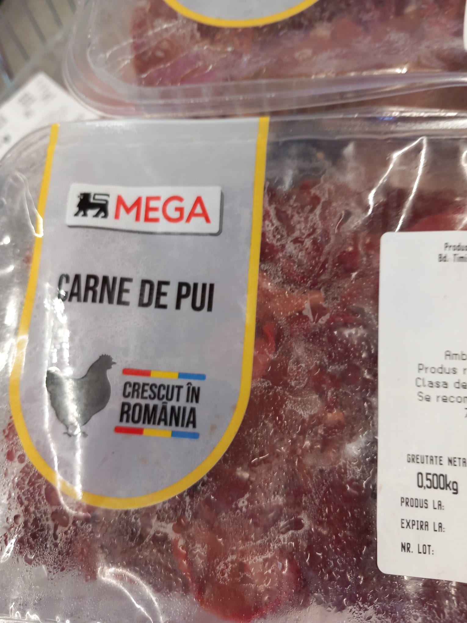 controale opc mega image timis (32)