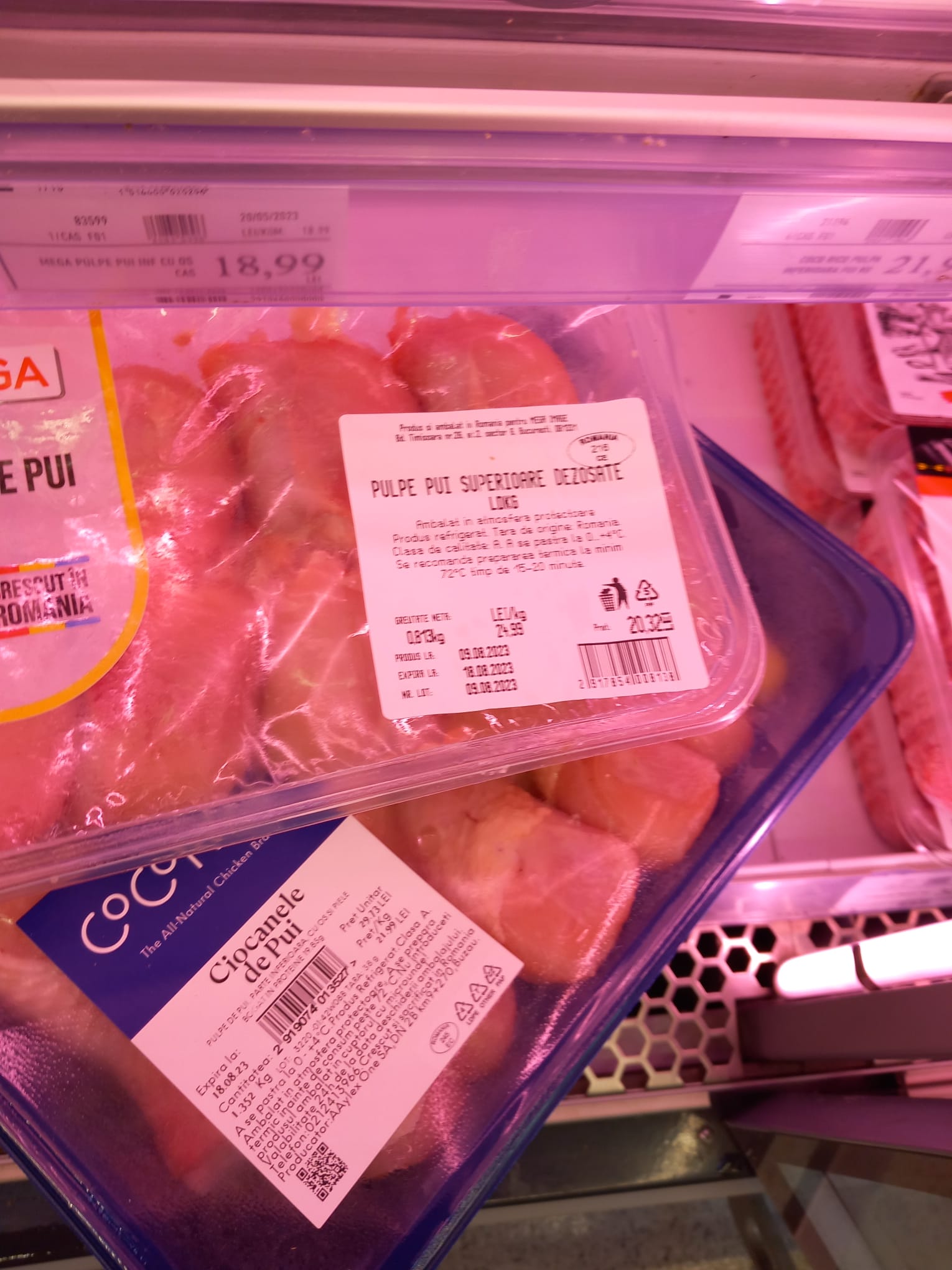 controale opc mega image timis (33)