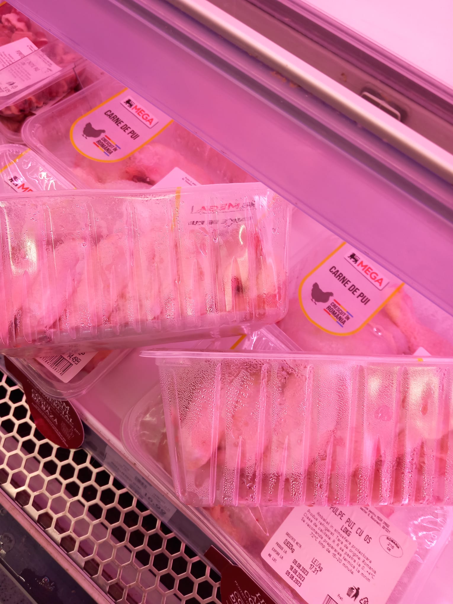 controale opc mega image timis (34)