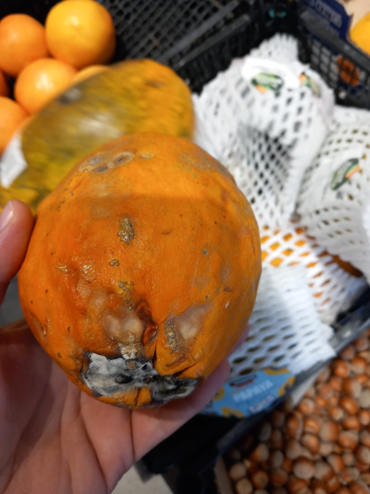 controale opc mega image timis (53)