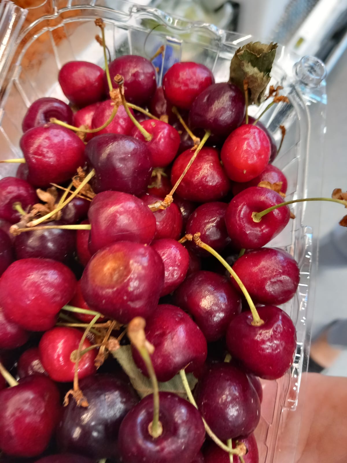 controale opc mega image timis (56)