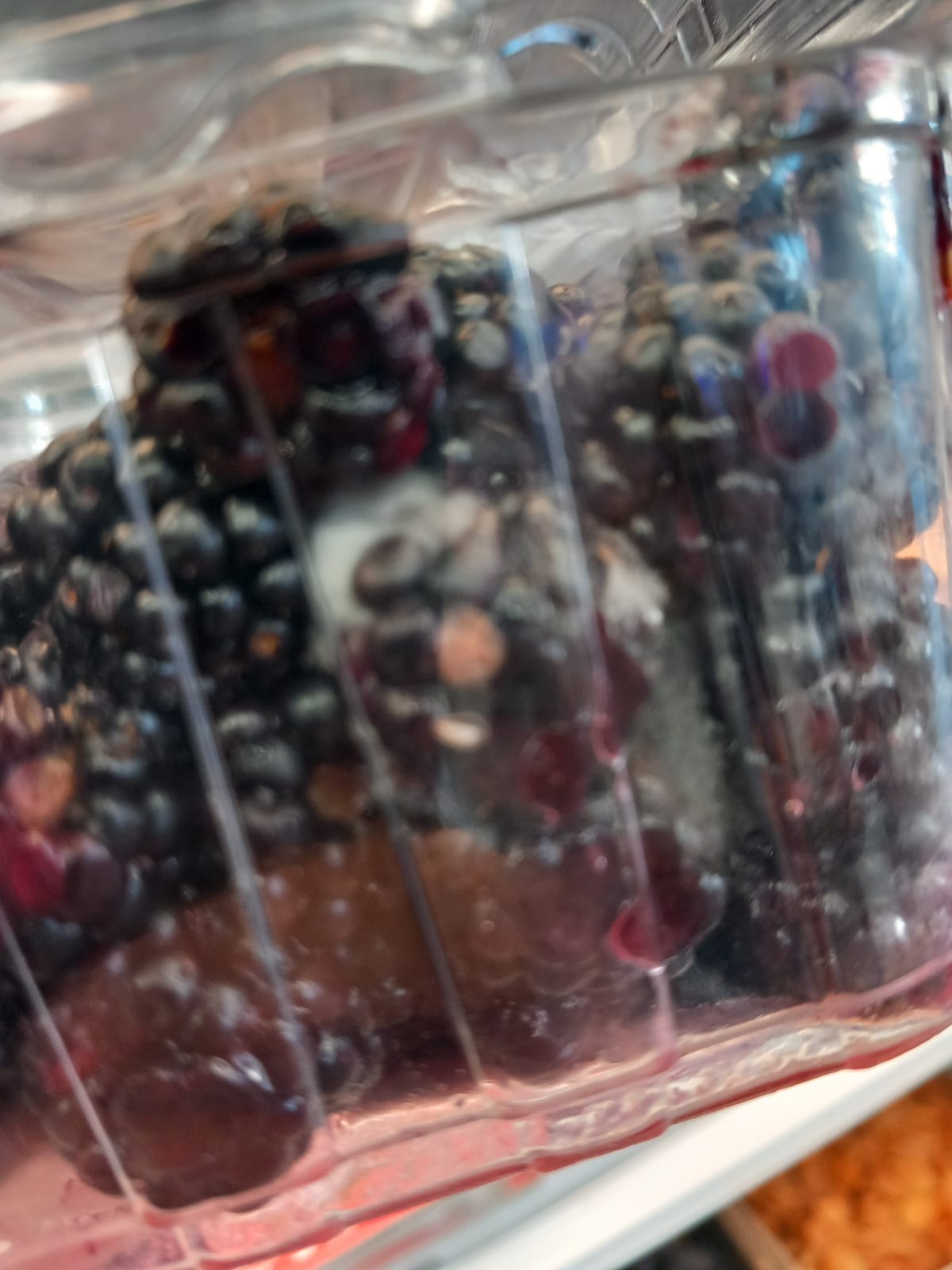 controale opc mega image timis (63)