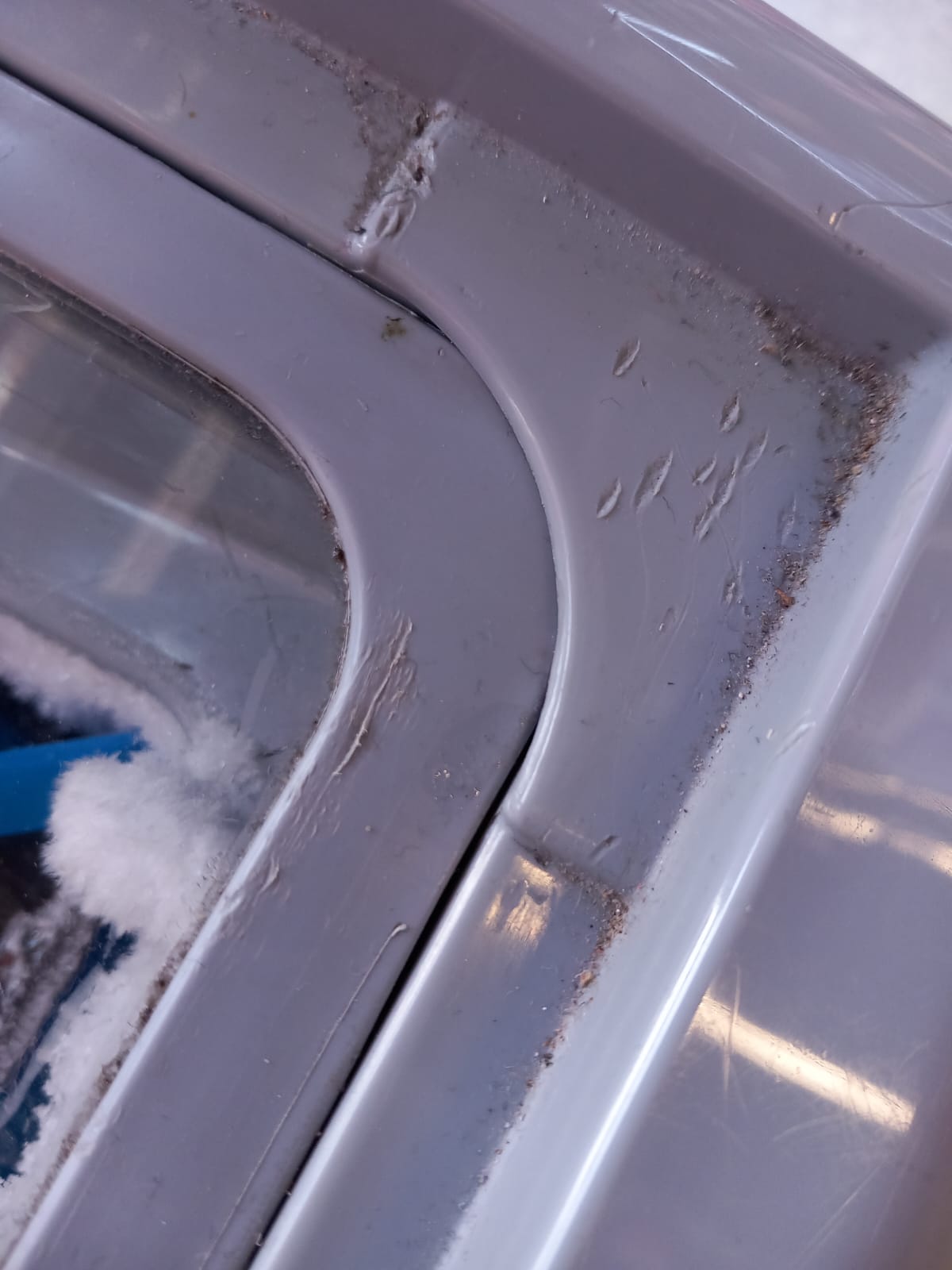 controale opc mega image timis (65)