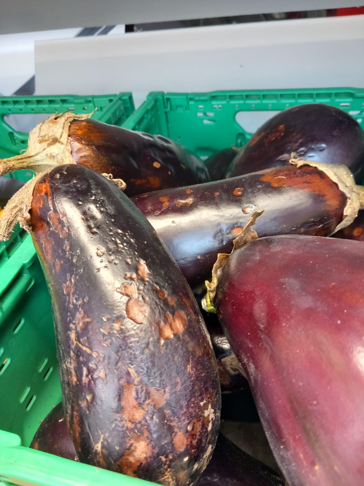 controale opc mega image timis (68)