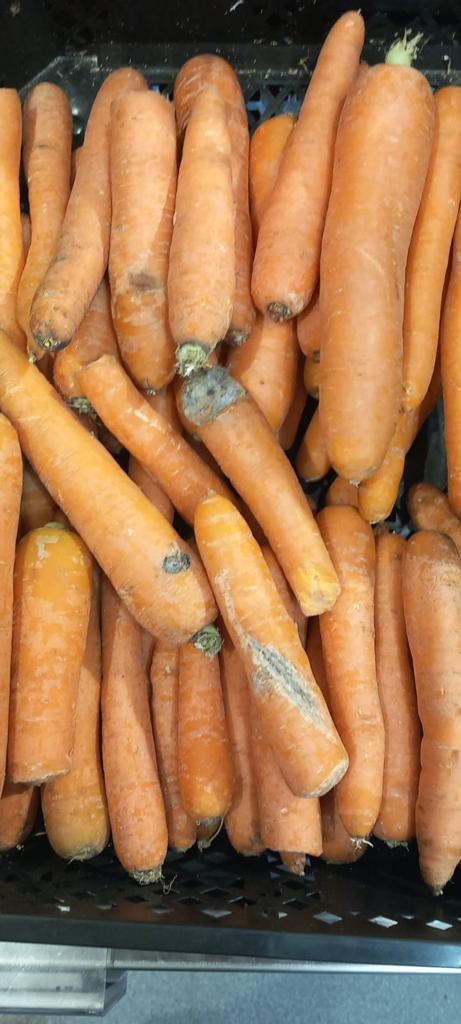 controale opc mega image timis (70)