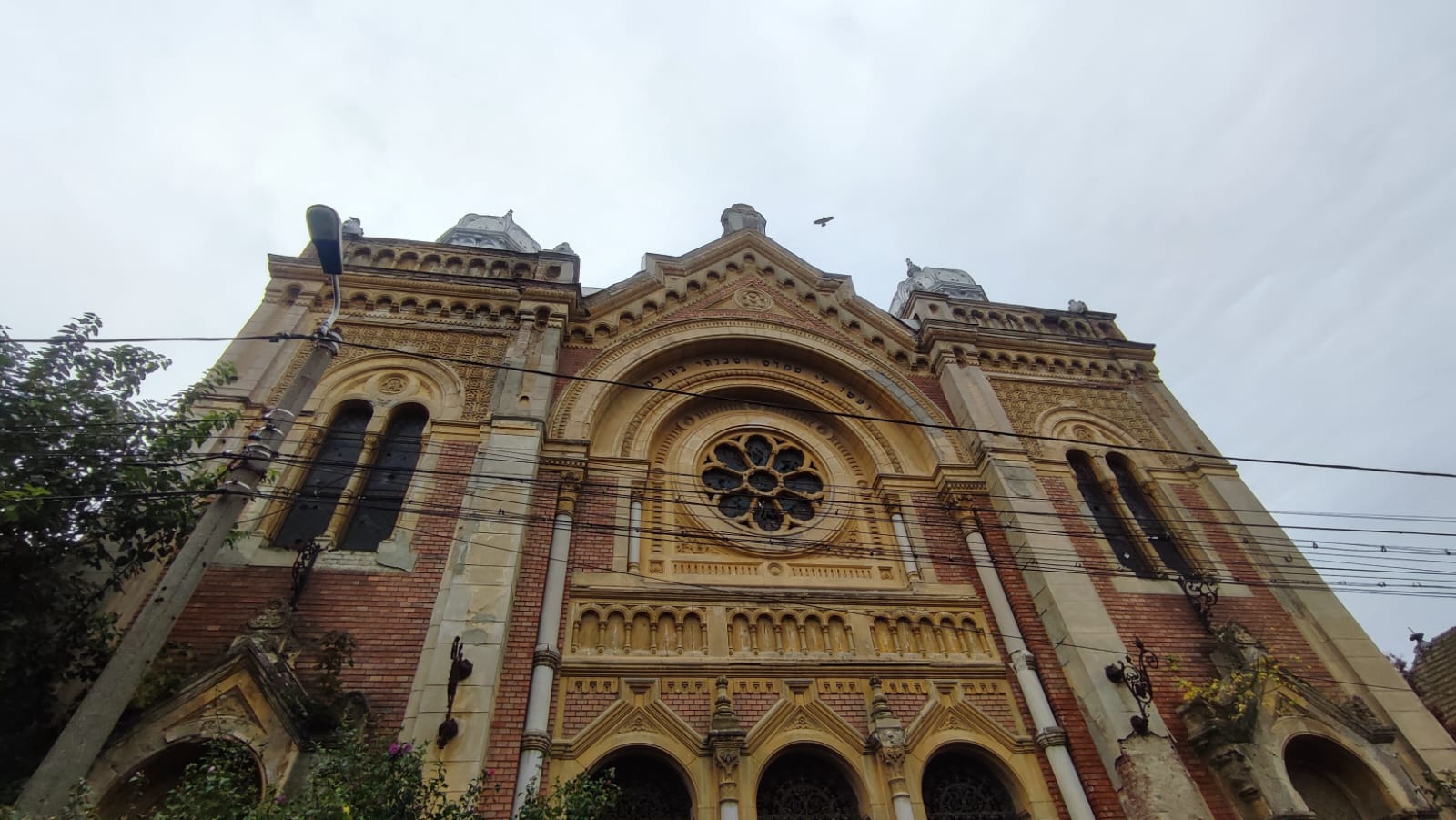 sinagoga Fabric (18)